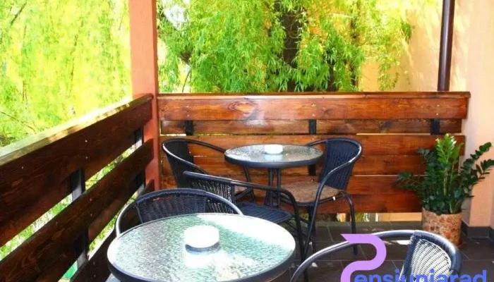 Restaurant Harmony -  Atmosfera - Buhuși