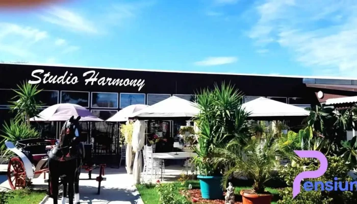 Restaurant Harmony Buzau Exterior - Vernești