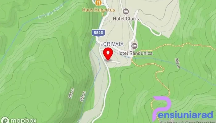 Restaurant La Neamtu Valiug Hartă - Văliug