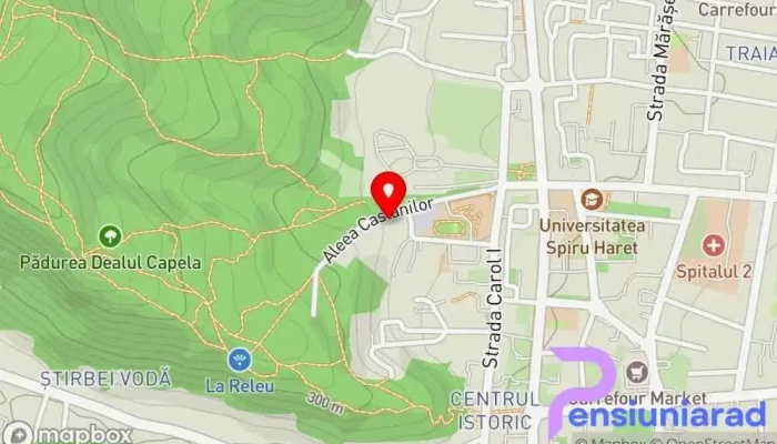 Restaurant Levant -  Hartă - Râmnicu Vâlcea