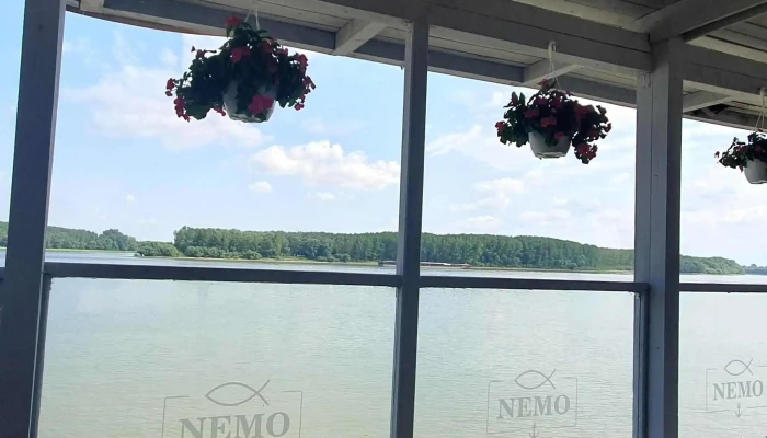 Restaurant Nemo -  Telefon - Brăila