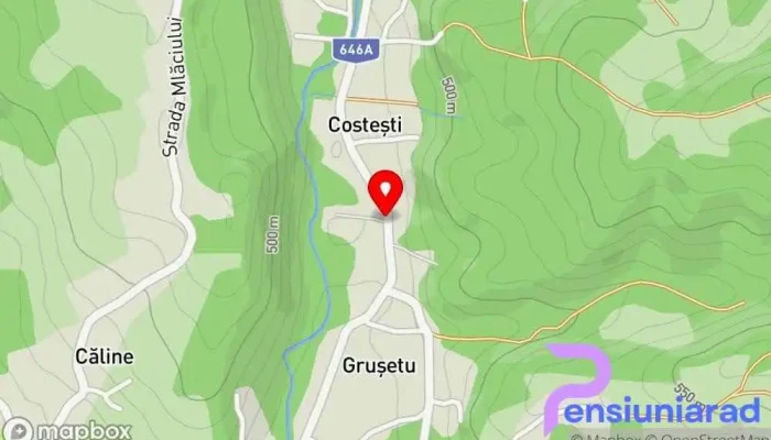Restaurant Pastravarie Costesti -  Hartă - Costești