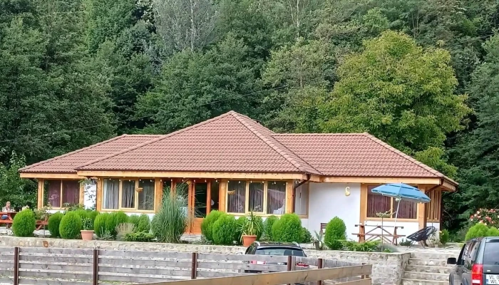 Restaurant Pastravarie Costesti -  Promoție - Costești