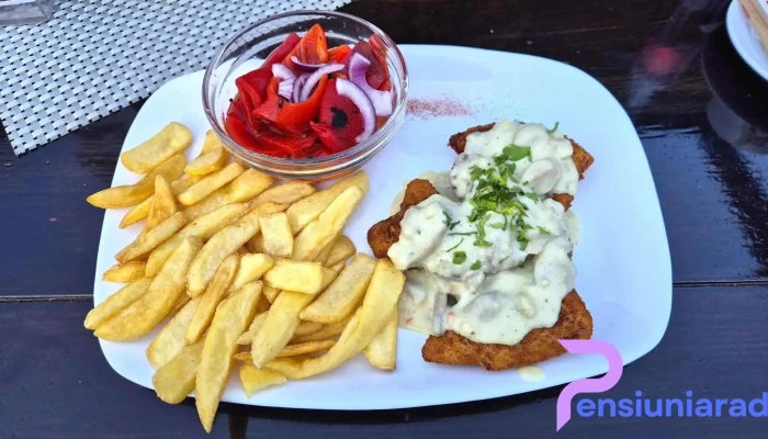 Restaurant Terasa Pe Vale -  Snitel - Râșnov