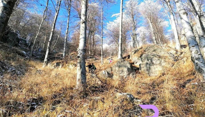 Rezervația fosiliferă Chiuzbaia - Chiuzbaia