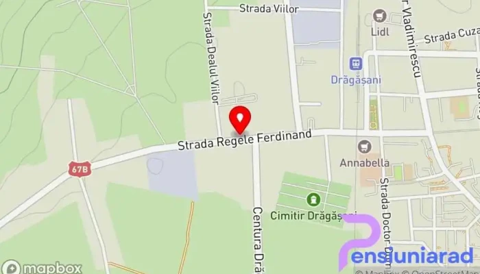 River Park Hotel Dragasani -  Hartă - Drăgășani