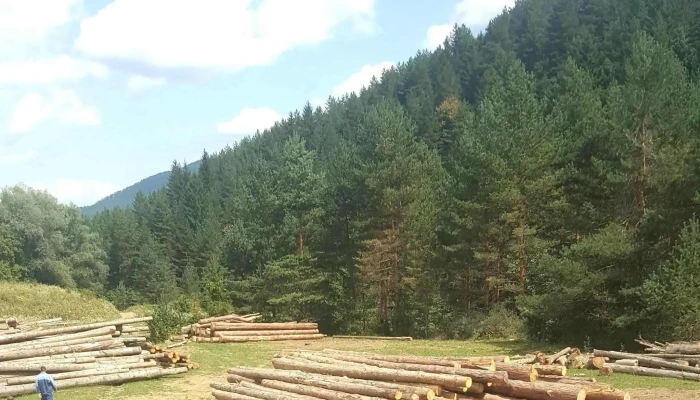 Rucareni Promoție - Soveja