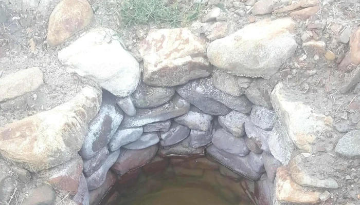 Rucareni Scor - Soveja