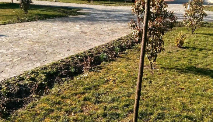 Sag Unde - Șag