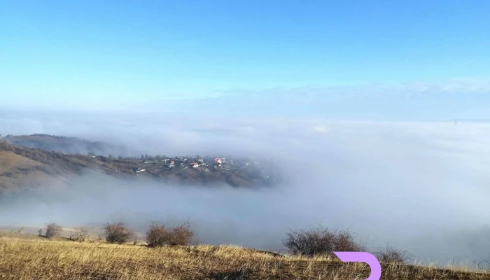 Sarata Dealul Nou Recenzii - Sărata