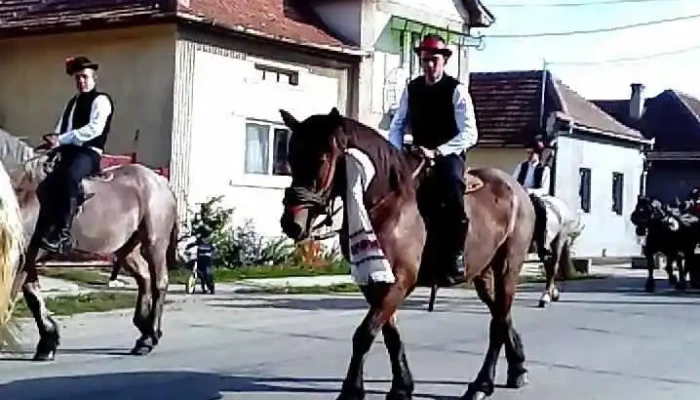 Sarmasag Videoclipuri - Sărmășag