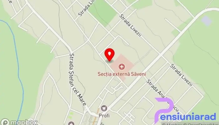 Saveni Hartă - Săveni
