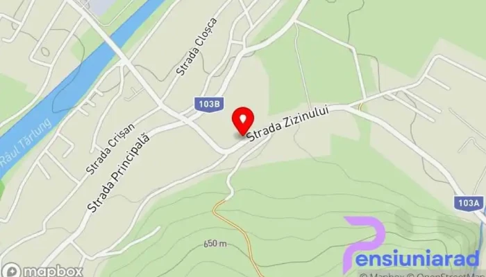 Sc Ioki Com 2002 Srl -  Hartă - Tărlungeni