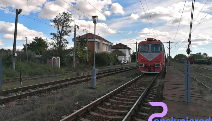 Sendreni Sina - Șendreni