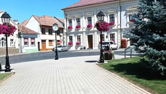 Stejarul lui Avram Iancu - Blaj 515400
