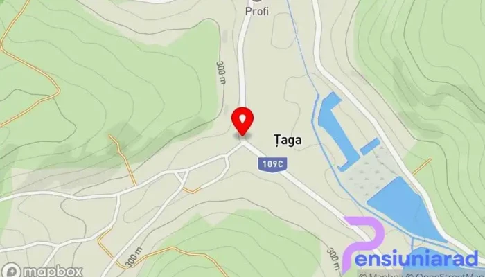 Taga Hartă - Ţaga
