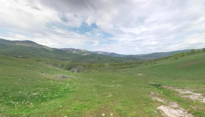 Talea -  Număr - Talea