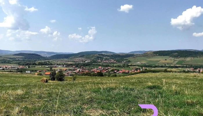 Taureni Adresă - Tăureni