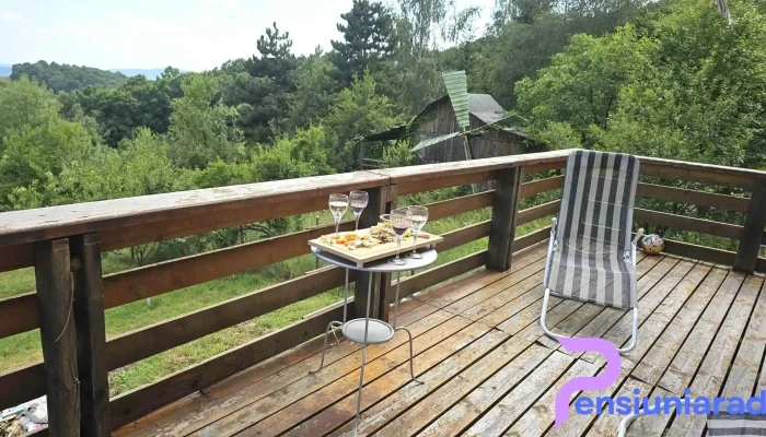 Tei Cabin - Slănic 106200