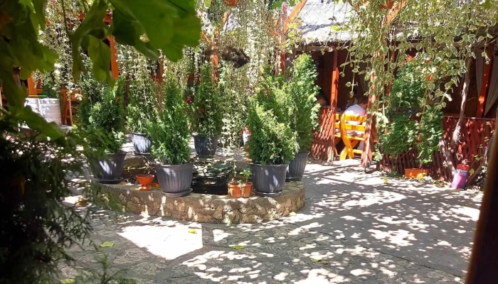 Terasa Rustic -  Număr - Săveni
