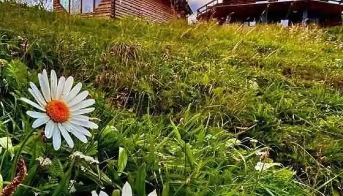 The Barn Sirnea De La Proprietar - Șirnea