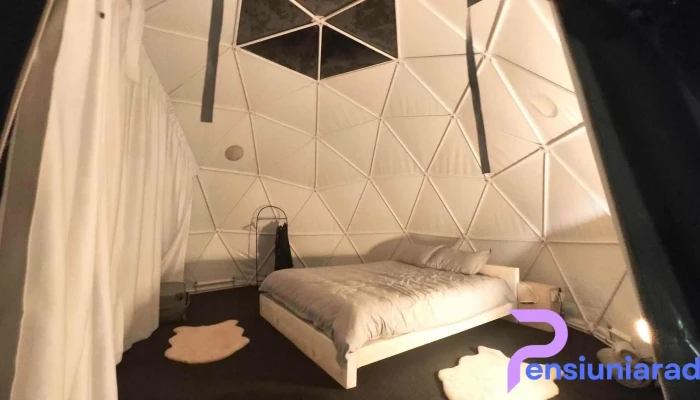 The Grand Prestige Igloo -  De La Vizitatori - Gura Teghii