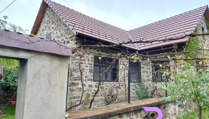 The Hunter House -  Exterior - Ciudanovița