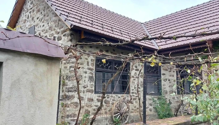 The Hunter House -  Reduceri - Ciudanovița