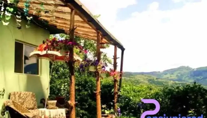 Tihna Crişului - Comuna Blăjeni
