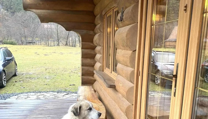 Timber Charm Chalet -  Unde - Râu Sadului