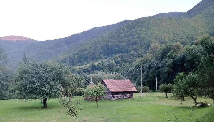 Timber Charm Chalet -  Zonă - Râu Sadului
