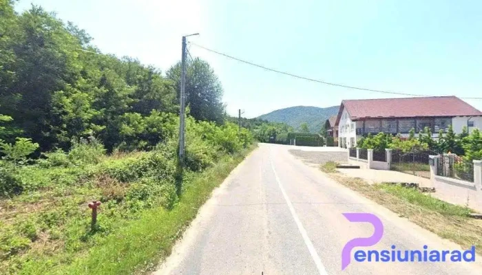 Tomi Alex - Călinești-Oaș