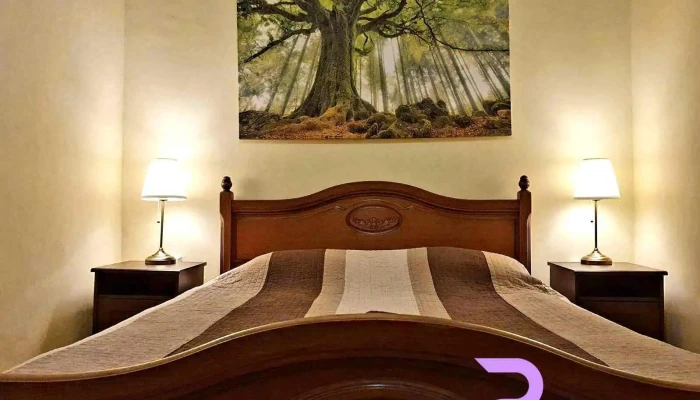 Transylvania Hostel -  Cluj Napoca 2 - Cluj-napoca