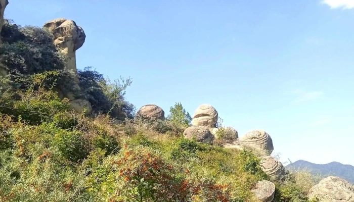 Trovantii Din Chiojdu -  Zonă - Chiojdu
