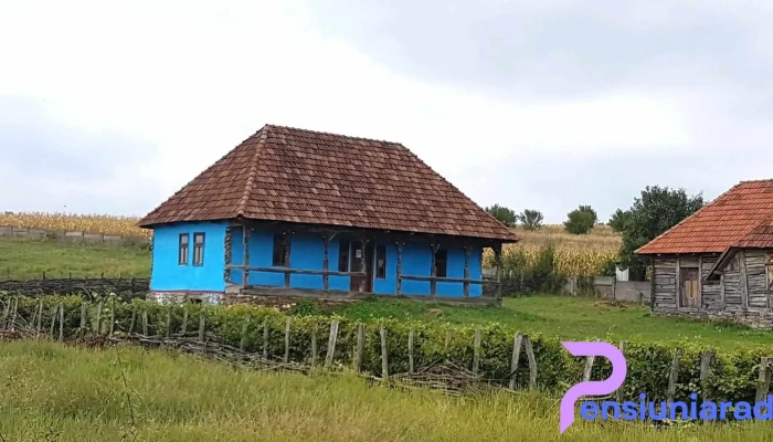 Turt Recenzii - Turț