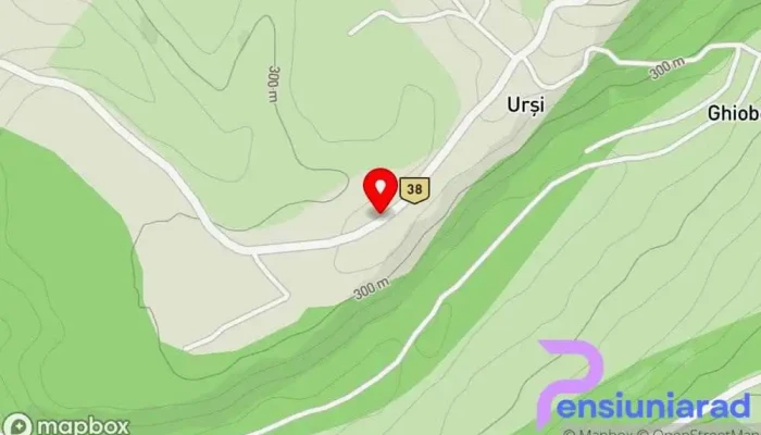 Ursi Hartă - Urşi