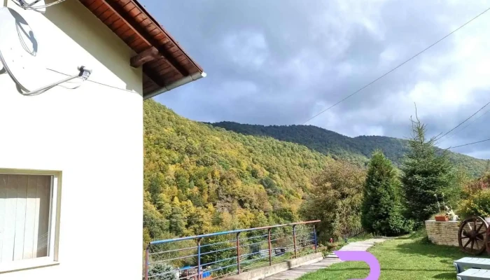 Valea Ierii Home -  De La Vizitatori - Valea Ierii