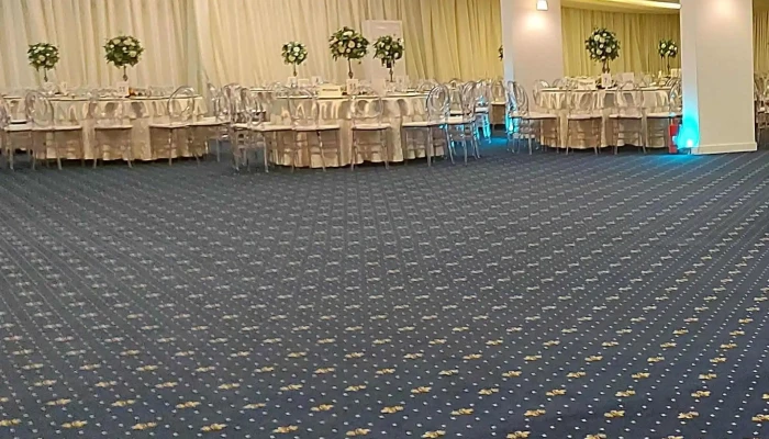 Viena Grand Palace -  Program - Pătârlagele