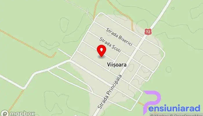 Viisoara Hartă - Viișoara