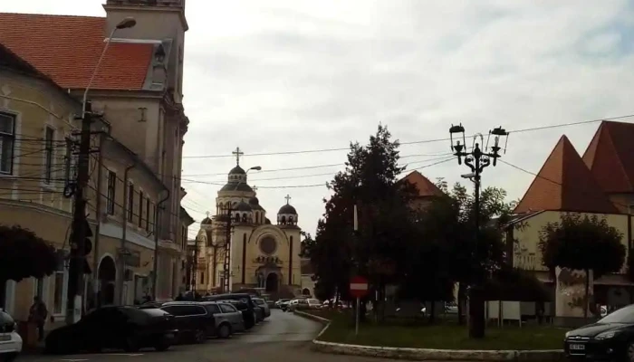 Viisoara Instagram - Viișoara