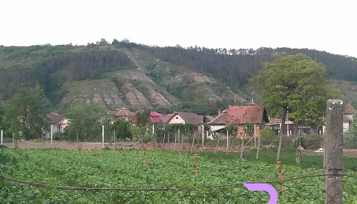 Viisoara Munte - Viișoara