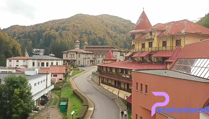 Vila Pufu -  Exterior - Slănic Moldova