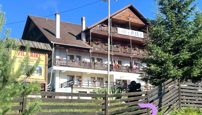 Vila Riki -  Exterior - Borsec