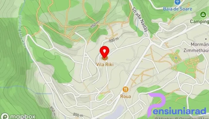 Vila Riki -  Hartă - Borsec
