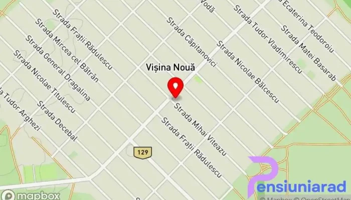 Visina Noua Hartă - Vișina Nouă