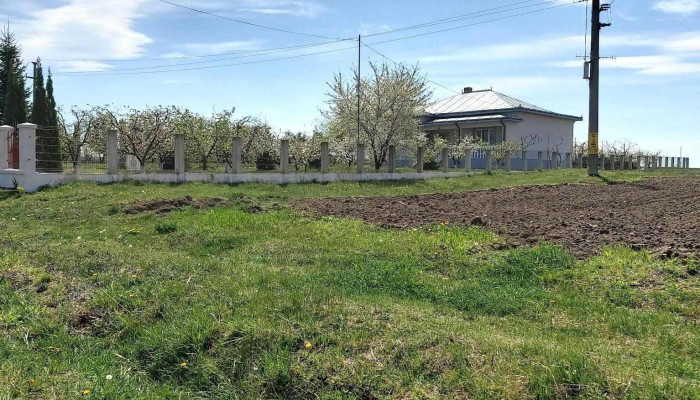 Vorona Mare -  Deschis Acum - Vorona Mare