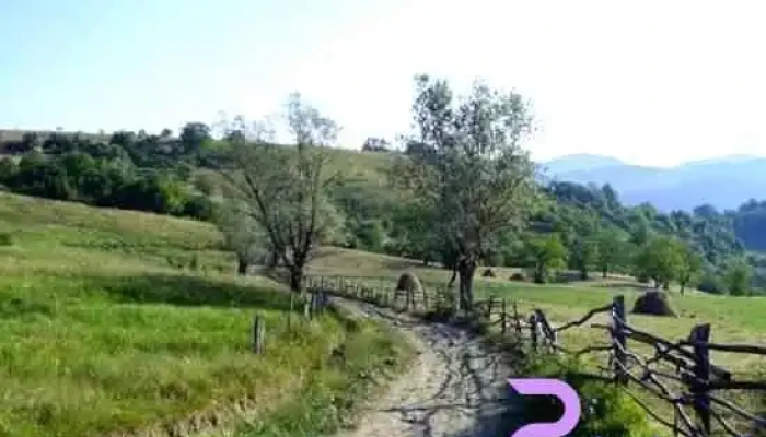 Vrancioaia Munte - Vrâncioaia