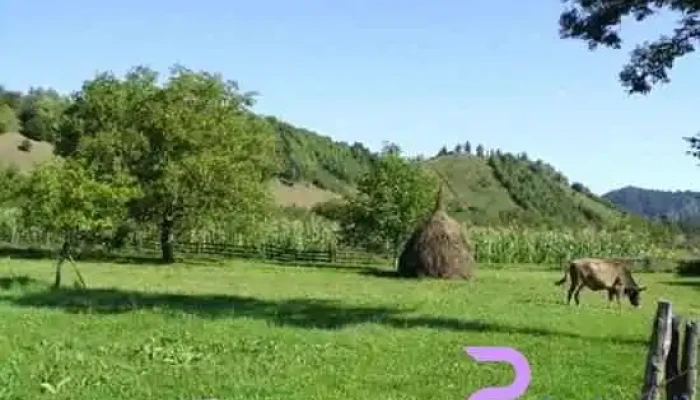 Vrâncioaia - Vrâncioaia
