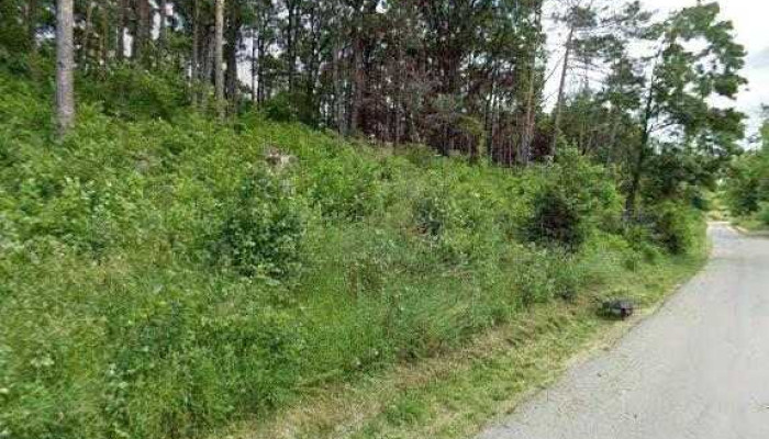 Wolkendorf -  Street View Si 360deg - Helesteului