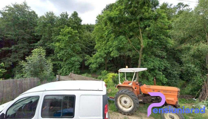 În Poiană - Fulgeriș